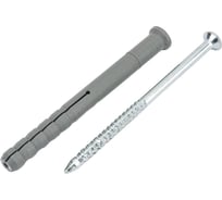 Дюбель-гвоздь Bohrer ПС 10×160 мм (первичный ПП, белый цинк) потайной борт (50 шт) DGVG-PP-10/160-50