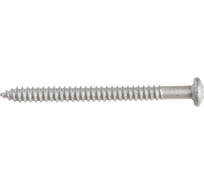 Самосверлящий винт Skreppro остроконечный SsR 4.8_60 (дакромет), 300 шт SsR 4.8*60 (Д), 300 шт