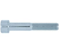 Винт Bullit с цилин. головкой и внутр. шестигр. DIN 912 M10x30 (20шт.), 8.8, пл. конт. 280мл 14-0018070