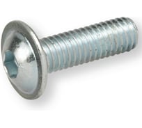 Винт с полукруглой головкой Море-Метизов под звездочку с фланцем, шлиц TORX ISO7380-2 А2,M6X30/30 TX30 мм,200 шт VINT73802ZA2M6X3030TX30200М