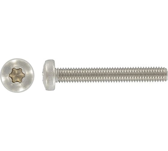 Винт с полукруглой головкой Море-Метизов шлиц TORX ISO14583 (DIN 7985) А2,M8X25 TX45 мм,200 шт VINT14583A2M8X25TX45200М