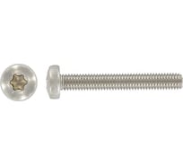 Винт с полукруглой головкой Море-Метизов шлиц TORX ISO14583 (DIN 7985) А2,M6X25 TX30 мм,200 шт VINT14583A2M6X25TX30200М