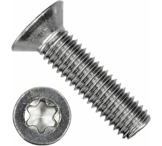 Винт с потайной головкой Море-Метизов шлиц TORX ISO14581 (DIN 965) А2,M10X20 TX50 мм,100 шт VINT14581A2M10X20TX50100М