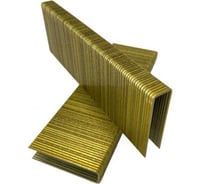 Скоба Forest G-38 cnk 16560 шт. BL011333