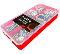 Мебельные винты, болты М6 в органайзере, набор 1 23 БОЛТА 20000127