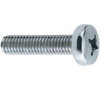 Винт boltnn.ru DIN 7985 4х20/20 с полуцилиндрической головкой цинк 500 шт 4687207533041