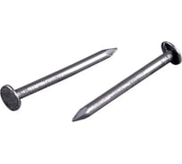 Гвозди толевые STARFIX цинк 3.0х40 мм ГОСТ 4029-63 (1 кг в пласт. конт.) SMP4-52595-1