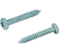 Саморез ЦКИ Глобал DIN 7981 6.3x80, остроконечный, цинк, Ph3, 50 шт. 43498