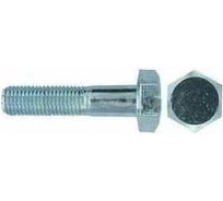 Болт ЦКИ Глобал ГОСТ 7796-70, М10x25 мм, 8.8, Ц, 50 шт. 59126