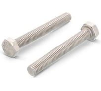 Болт ЦКИ Глобал DIN933 М20x110 A2 SW30 2 шт. 28913