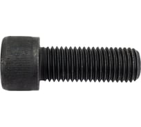 Винт ЦКИ Глобал DIN 912 М20x55 12.9 окс., HEX 17 5 шт. 33066