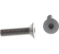 Винт ЦКИ Глобал DIN7991 М5х20 нерж. A2 250 шт 58731