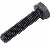 Болт ЦКИ Глобал DIN933 М10х45 10.9 ОКС 30 шт. 57798