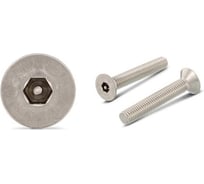 Антивандальный винт ЦКИ Глобал ART.9113, М6x12, A2, HEX TR 4, 25 шт. 51369