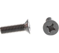 Винт ЦКИ Глобал DIN965 М6х20 нерж. A2 250 шт 58866