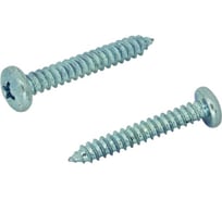 Саморез ЦКИ Глобал DIN7981 5.5х80, остроконечный, цинк, Ph 3, 30 шт. 53213