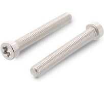 Винт ЦКИ Глобал ISO14579 М6х14 A2 TX30 уп. 100 шт. 63650