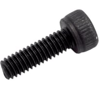 Винт ЦКИ Глобал DIN912 М2.5x8 12.9 ОКС HEX2 аналог ГОСТ 11738-84 50 шт. 19121