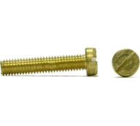 Винт ЦКИ Глобал DIN 84, М2x10, ЛАТ., SL 3.0x0.5, 200 шт. 29238