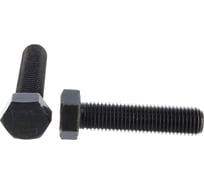 Болт ЦКИ Глобал DIN933 М16х65 10.9 ОКС 10 шт. 57873