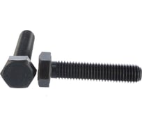 Болт ЦКИ Глобал DIN933 М12х55 10.9 ОКС 20 шт. 57808