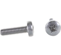 Винт ЦКИ Глобал DIN7985 М6х20 нерж. A2 250 шт 58713