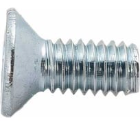 Винт ЦКИ Глобал DIN965 М2.5х6 Ц 2000 шт. 43217