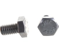 Болт ЦКИ Глобал DIN933 М6х10 нерж. A2 250 шт 58649