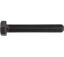 Болт ЦКИ Глобал DIN933 М16х100 10.9 ОКС 5 шт. 57870