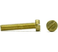 Винт ЦКИ Глобал DIN84, М2x8 мм, ЛАТ., SL, 3.0x0.5 мм, 20 шт. 6807