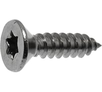 Саморез ЦКИ Глобал DIN 7983 4.2x25, остроконечный, TORX, А2, 200 шт. 53800