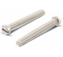 Винт ЦКИ Глобал DIN84 М5x25 Ц SL8x1.2 аналог ГОСТ 1491-80 200 шт. 99