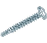 Саморез DIN7504-M JP81 4.8x19 сверлоконечный, A2 TX25, 100 шт. 54124