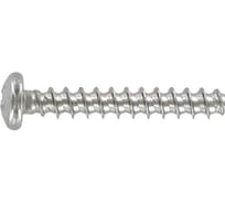 Саморез для пластика ЦКИ Глобал скругленный, притупленный, art.9091, 3x8 мм, А2, PH1, 100 шт. 53567