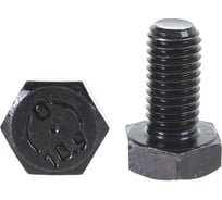 Болт ЦКИ Глобал DIN933 М10х20 10.9 ОКС 50 шт. 57762