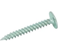 Саморез ЦКИ Глобал для металла, с прессшайбой, 4.2х19, остроконечный, A2, 100 шт. 47953