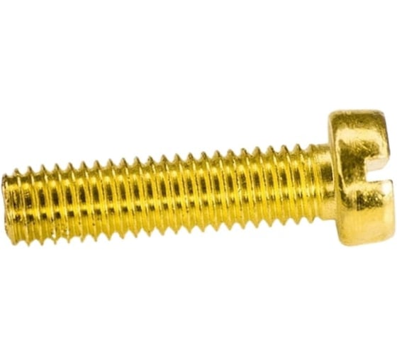 Винт ЦКИ Глобал DIN 84, М2x4, ЛАТ., SL 3.0x0.5, 50 шт. 20607 1