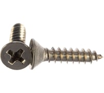 Саморез ЦКИ Глобал DIN 7982 5.5х19, остроконечный, A2, Ph3, 100 шт. 29857