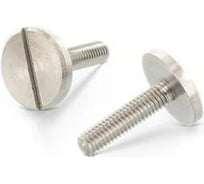 Винт ЦКИ Глобал DIN921, М6x25 мм, A1, 5 шт. 23336