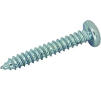 Саморез ЦКИ Глобал DIN 7981 3.9х16 ISO14585, остроконечный, A2, TX 15, 100 шт. 48482