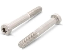 Винт ЦКИ Глобал DIN 7984 м20x40, 8.8, цинк, hex 14, 2 шт. 48304