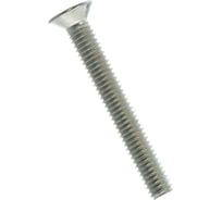 Винт ЦКИ Глобал DIN965 М4х30 Ц 1000 шт. 2539