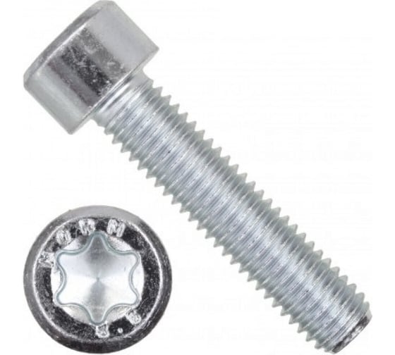 Винт ЦКИ Глобал ISO14579 М3х8 A2 TX 10 100 шт. 12838