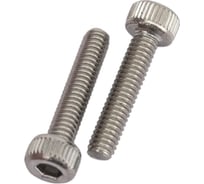 Винт ЦКИ Глобал DIN912 М10x180 A2 HEX 8.0, 2 шт. 77301