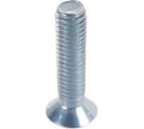 Винт ЦКИ Глобал DIN965 М6х25 Ц 500 шт. 2735