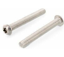 Винт ЦКИ Глобал ISO7380, М6х25 A2, TX30, 50 шт. 47350