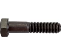 Болт ЦКИ Глобал DIN 931 М16x70 10.9 ОКС SW24 10 шт. 11920