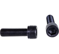 Винт ЦКИ Глобал DIN912 М16х50 12.9 ОКС 25 шт. 50571