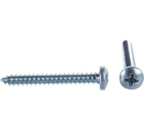 Саморез ЦКИ Глобал DIN7981 4.2х32 остроконечный Ц 1000 шт. 2177