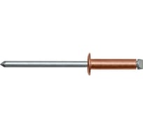 Тяговая заклепка ЦКИ Глобал Медь/Ст, плоская, 4.0x6 BRALO, 50 шт. 22380